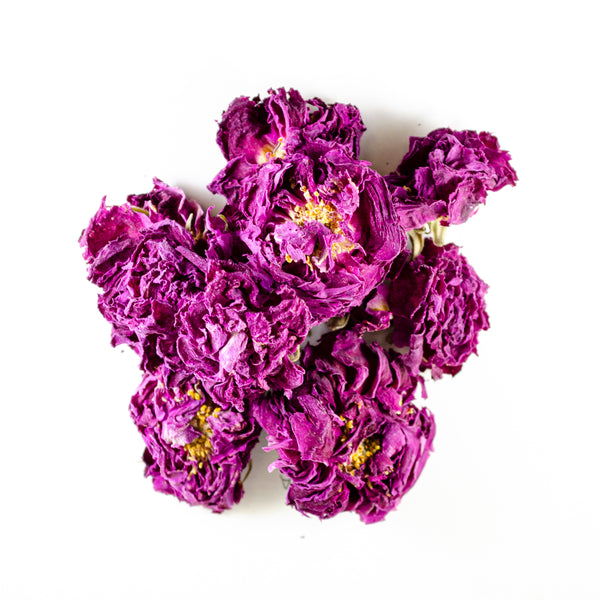 Rose Corolla Flowers - Todd & Holland Tea Merchants