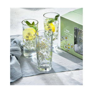 Fresh Herbs Iced Tea Glass-Set of 4