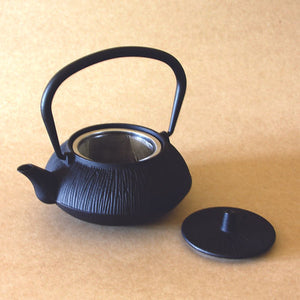 Cast Iron Tea Pot, Multiple Line Pattern, Black Finish - 8oz