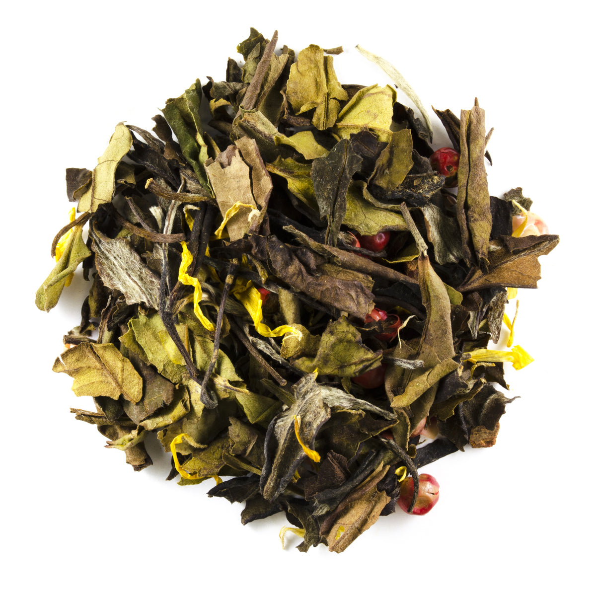 Butterscotch Blondie