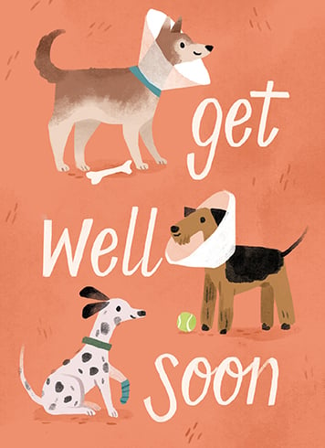 Doggy Injuries Get Well Soon Card