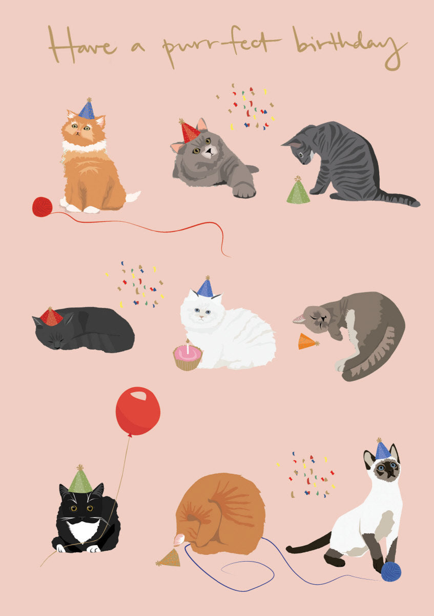 Cats Birthday Card