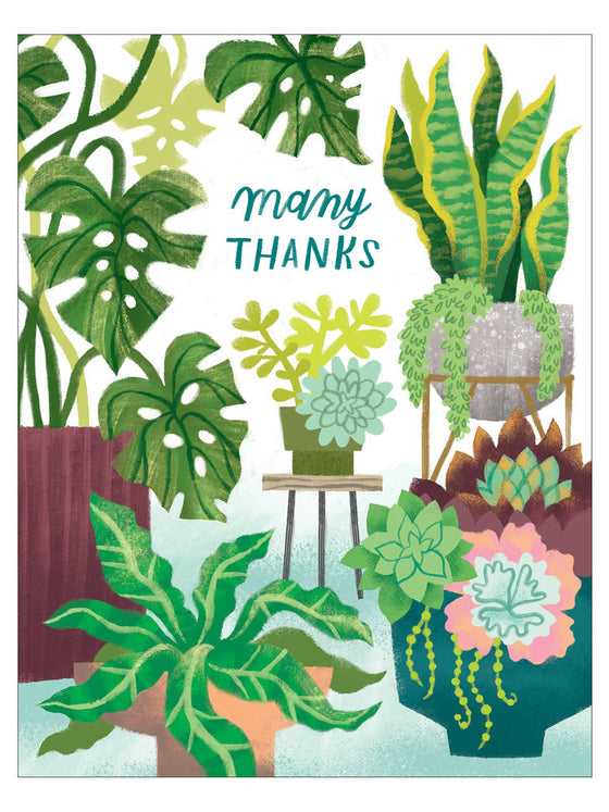 Houseplants Thank You Card