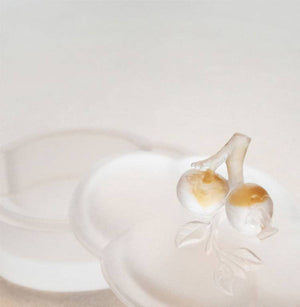 Gohobi Pate de Verre Persimmon Begonia Glass Case