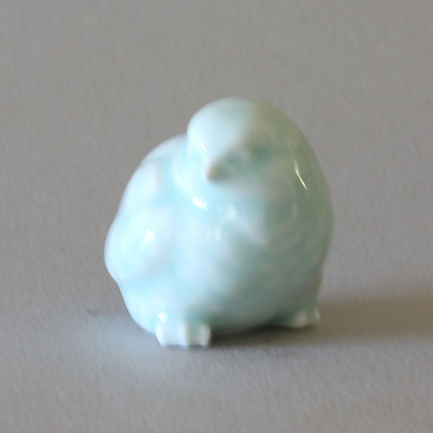 Celadon Chick