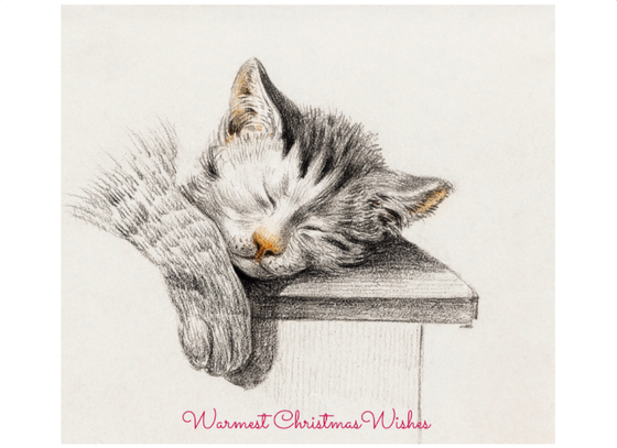 Napping Holiday Cat Christmas Cards - Holiday Cards