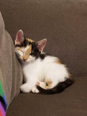 Kiki with her Present Ornament