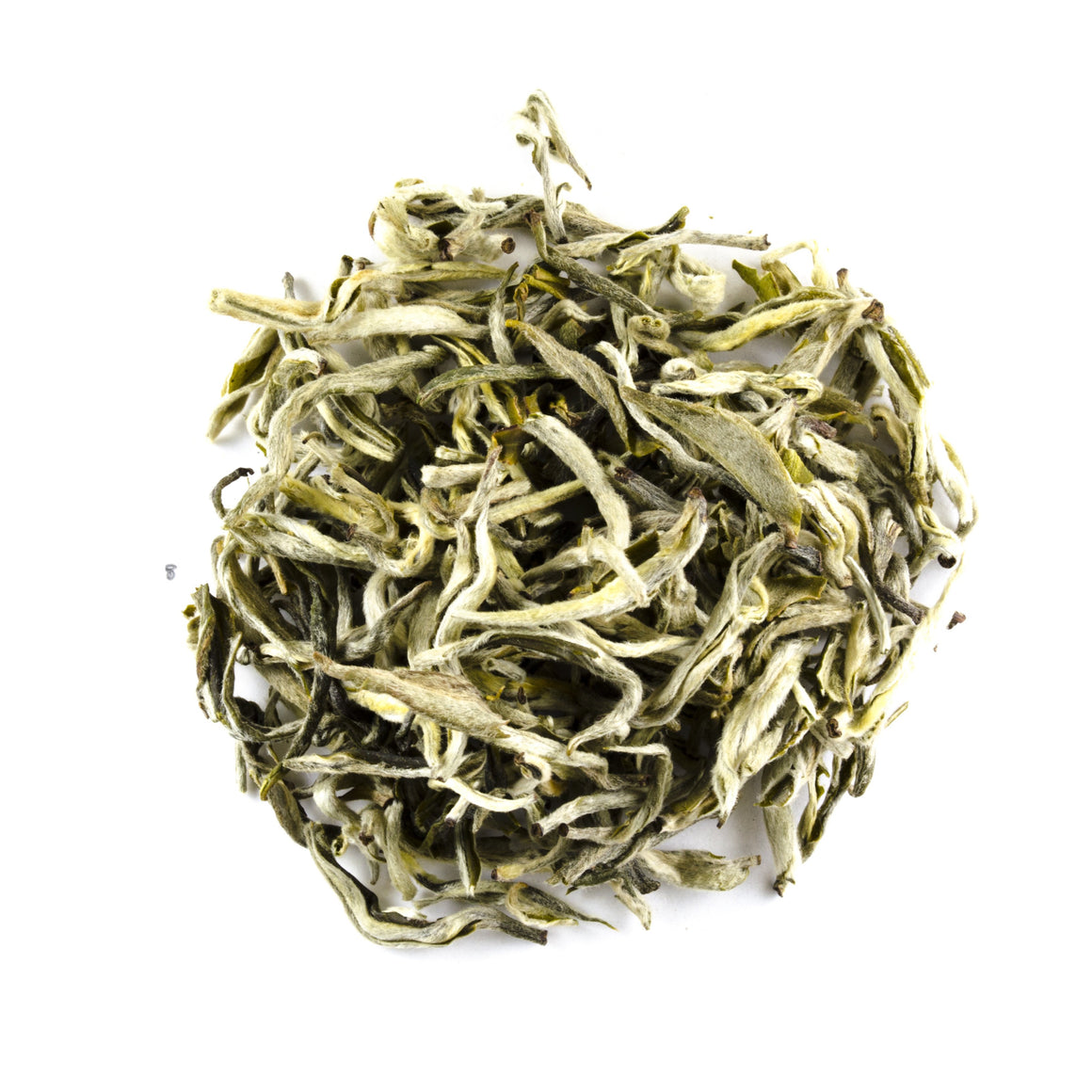 Snow Sprouting - Todd & Holland Tea Merchants