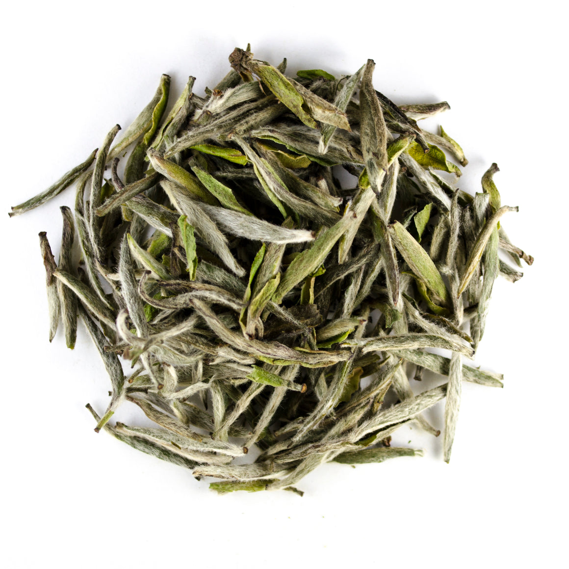 Fujian Silver Needles - Todd & Holland Tea Merchants